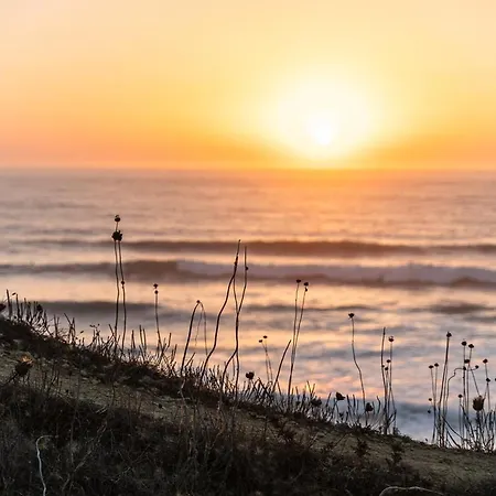 Terrace Of Ericeira