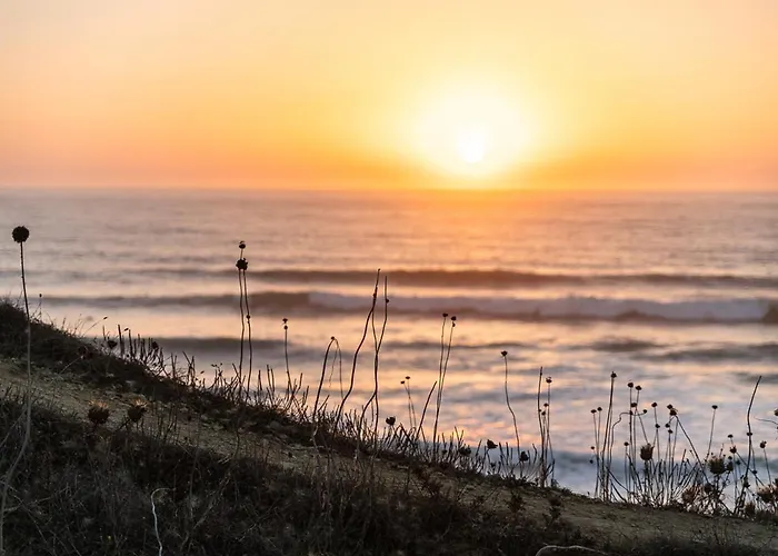 Terrace Of Ericeira